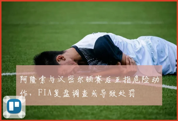 阿隆索与汉密尔顿赛后互指危险动作，FIA复盘调查或导致处罚