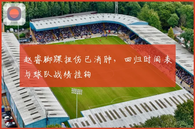 赵睿脚踝扭伤已消肿，回归时间表与球队战绩挂钩